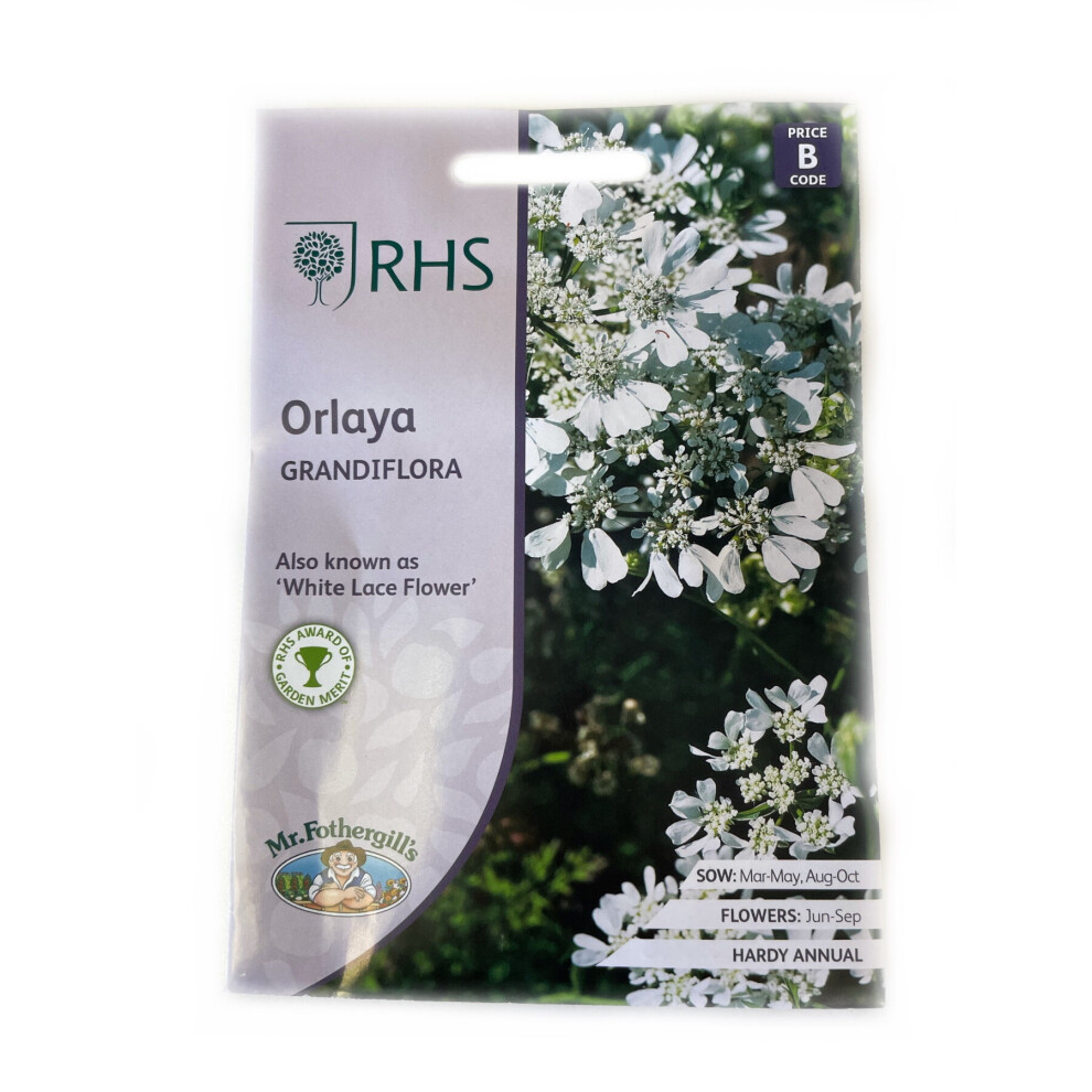 RHS Mr. Fothergill's White Lace Flower Orlaya Grandiflora Seeds
