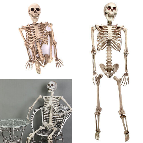 160CM Poseerbaar levensgroot Halloween feestskelet 1