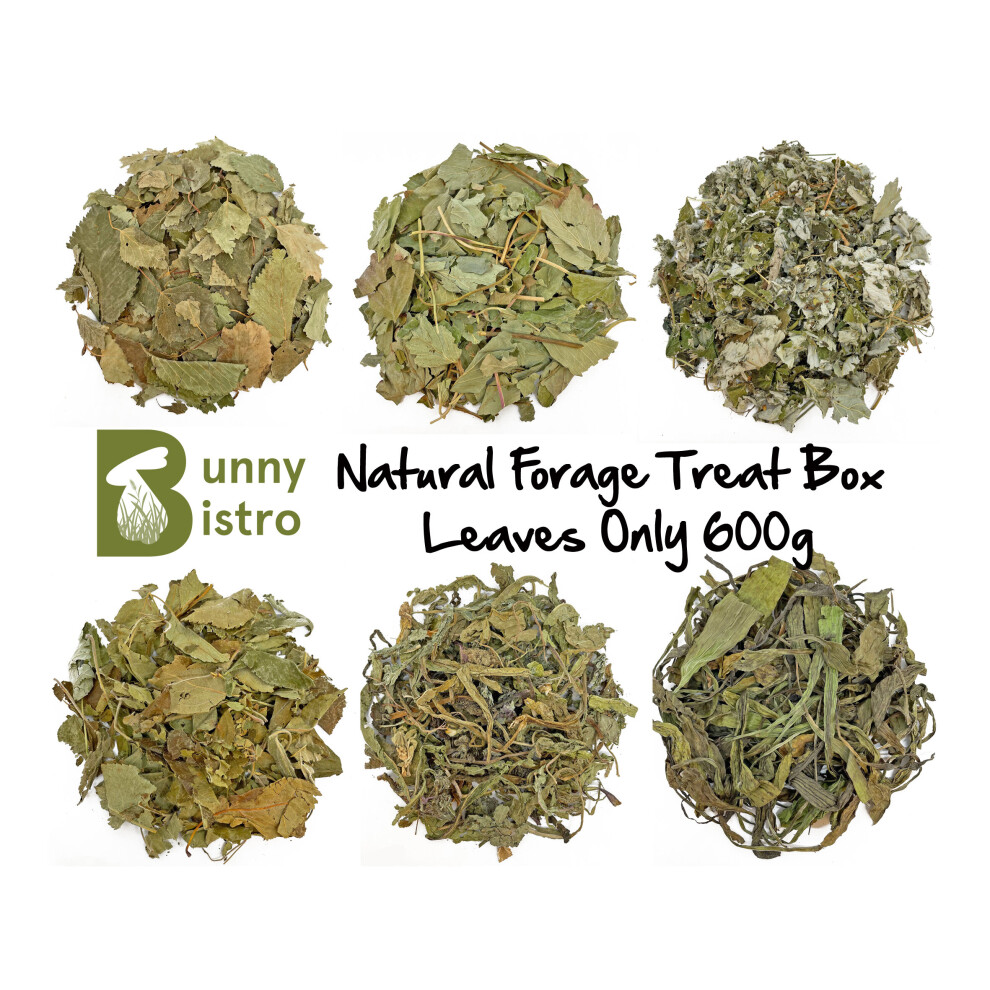 (Leaves Only (600g)) Bunny Bistro Natural Forage Treat Box - Botanical Natural Food