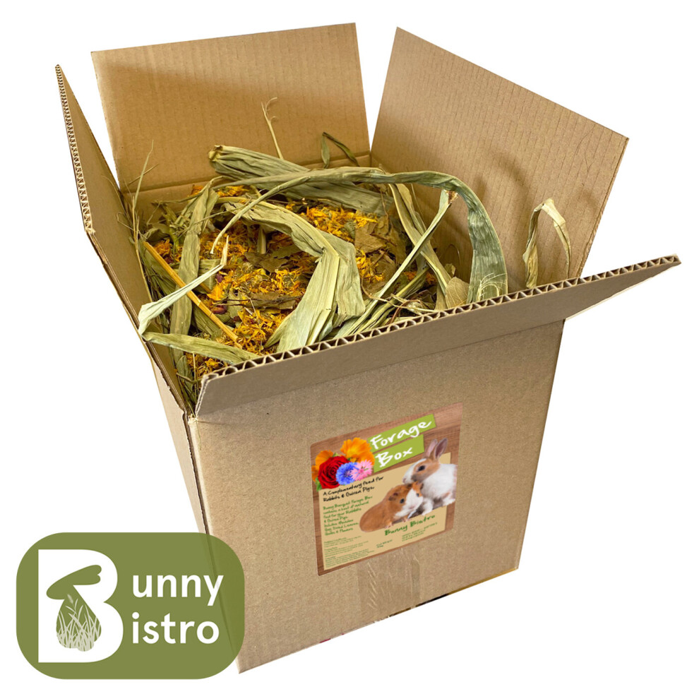 Bunny Bistro Forage Box - Rabbit & Guinea Pig, Hay & Botanical