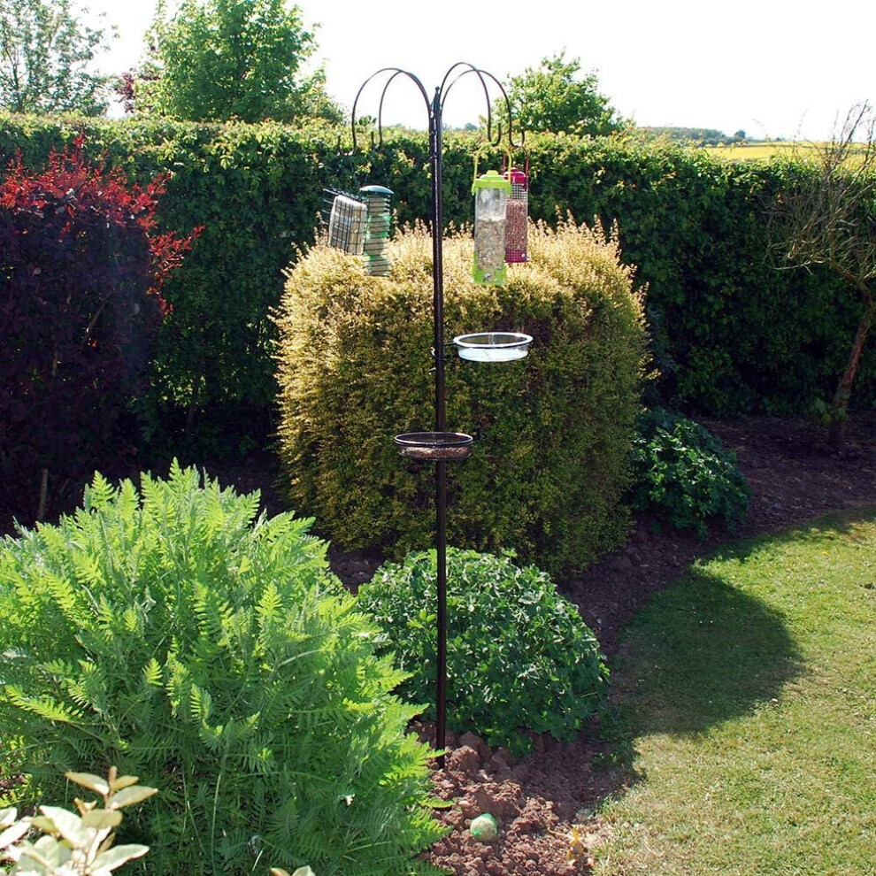 Traditional 4 Arm Bird Feeding Station for Seeds Fat Ball Suet Peanuts