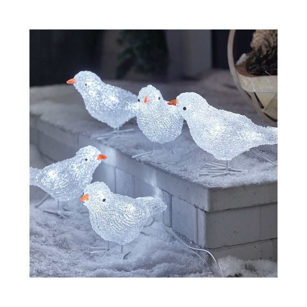 ZHIKE Outdoor Christmas Decorations / LED Acrylic Decoration Outside Lights Five Birds / Outdoor Lighting / 40 Ice White LEDs / Transparent Cable