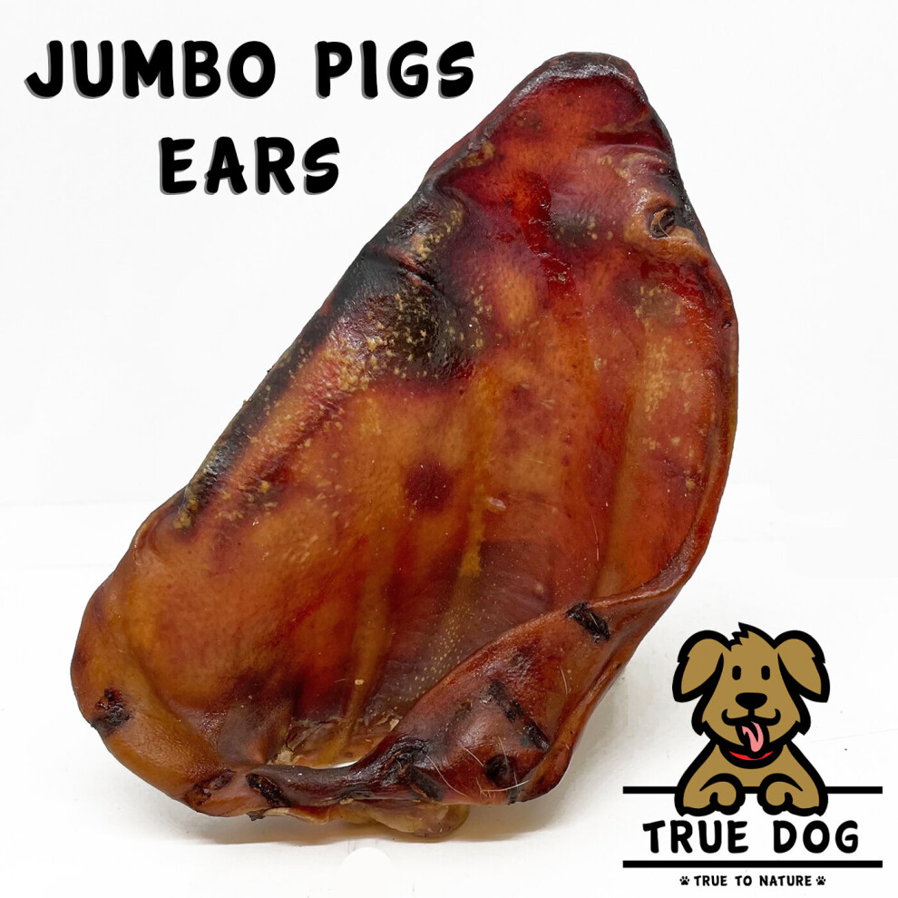 (10pk) Jumbo Pigs Ears - Natural Dog Treat, XL Chew Treat