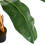 Living And Home 180CM Garden Artificial Banana Tree in Pot 5