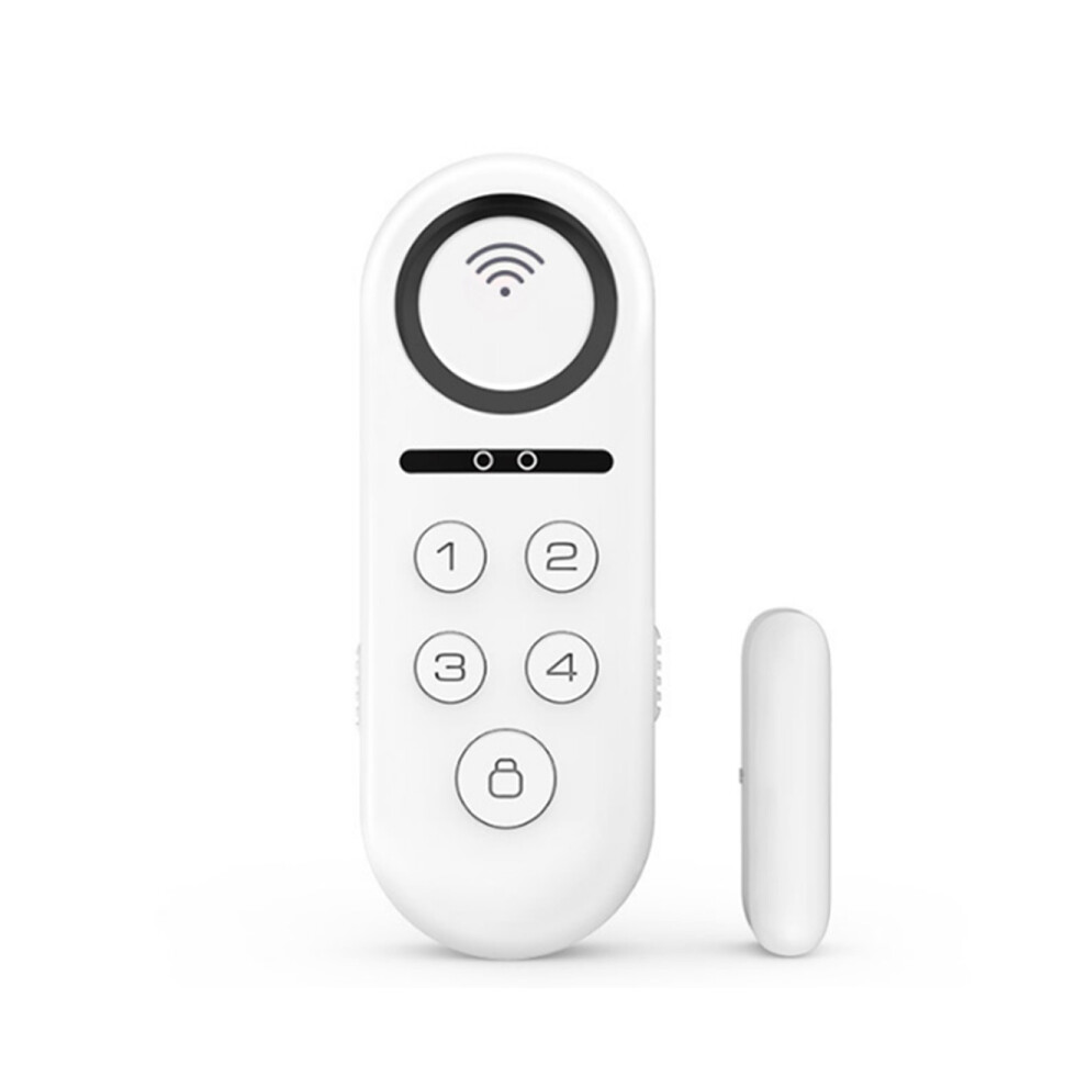 A19 Graffiti Foreign Trade Door Magnetic Anti-Theft Alarm Door And Window Home Sensor Remote Control Alarm For Bussiness Burglar Alert 774048911757