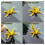 Car Windscreen Repair Kit Crack Chip Windshield Glass Window Screen 2