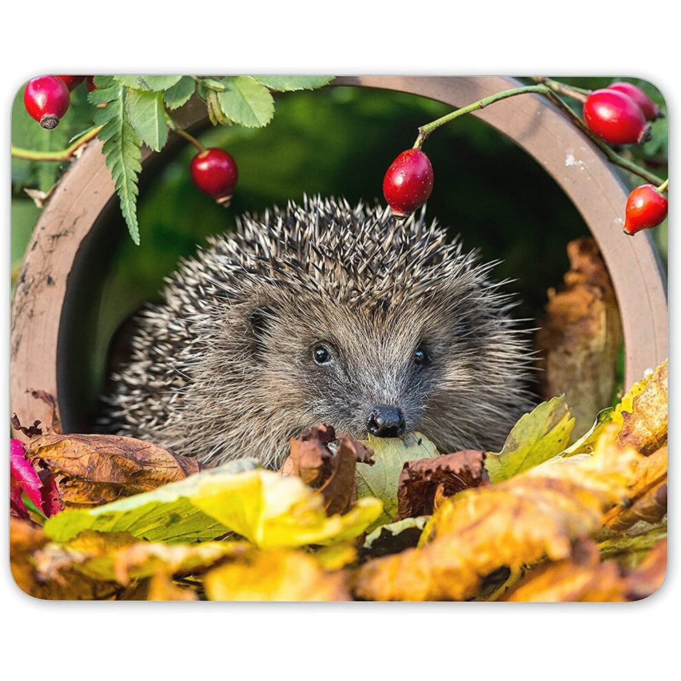 Adorable Hedgehog Mouse Mat Pad - Garden Animal Mum Auntie Fun Computer #13045 7625901609102