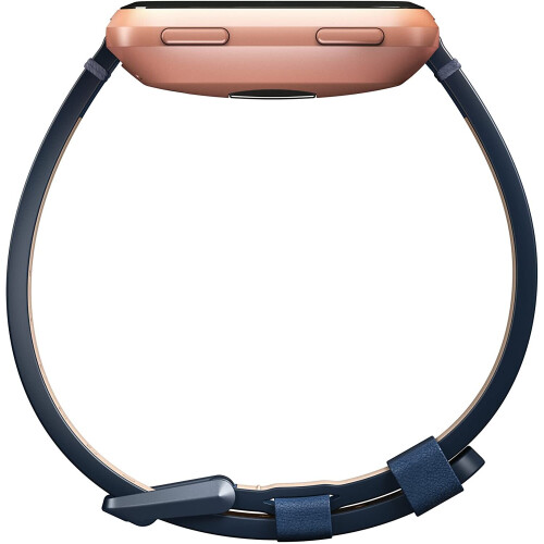 Fitbit Fitbit Unisex Versa Smartwatch Accessory Band 2