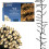 The Christmas Workshop 71820 960 Warm White LED Chaser Cluster Lights 1