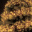The Christmas Workshop 71820 960 Warm White LED Chaser Cluster Lights 6