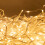 The Christmas Workshop 70609 480 Warm White LED Icicle Chaser Lights 10