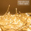 The Christmas Workshop 70609 480 Warm White LED Icicle Chaser Lights 3