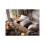 Habitat Plain Faux Fur Cushion - Grey - 43x43cm 7