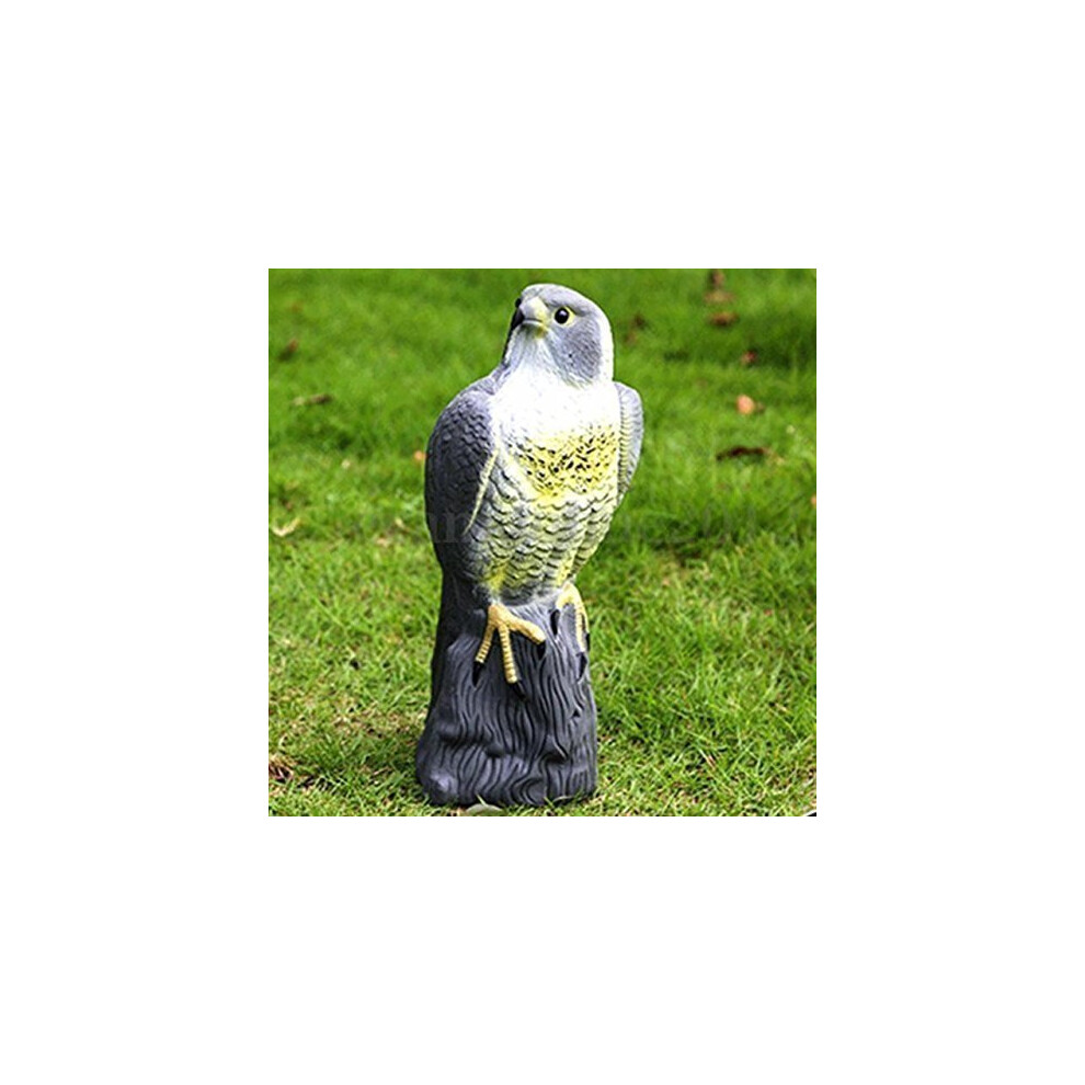 Large Realistic Falcon Decoy Bird Deterrent Full Bodied Bird Of Prey