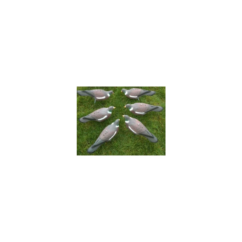 Set of 6 Half Shell Pigeon Decoys With Pegs Realistic Bird Decoy