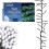 The Christmas Workshop 78470 960 LED Bright White Chaser Cluster Lights 1