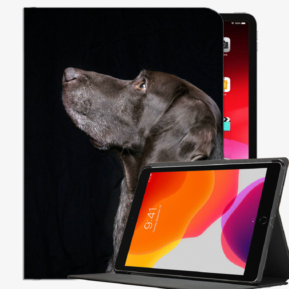 (iPad 2019 2018(10.2 inches)) Black Labrador Labrador Dog Case Slim Shell Cover For iPad iPad Pro 12.9 inch