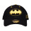DC Comics Core Logo Curved Bill Cap 1