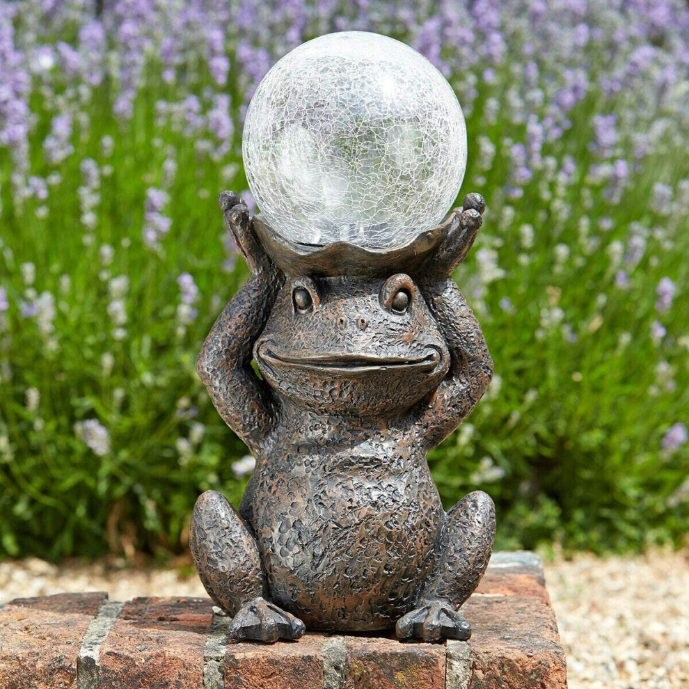 Solar Power Frog Garden Path Solar Colour Changing LED Light Ornament