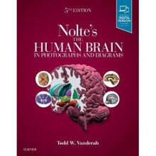 Nolte's The Human Brain in Photographs and Diagrams