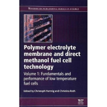 Polymer Electrolyte Membrane and Direct Methanol Fuel Cell Technology