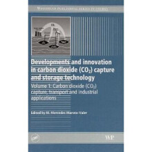Developments and Innovation in Carbon Dioxide (CO2) Capture and Storage Technology