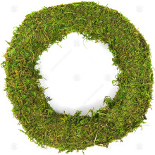 (10", 10) Padded Moss Effect Ring | Christmas Wreath Making Bases Frames Funeral Grave