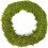 Gardeners Dream (10", 10) Padded Moss Effect Ring | Christmas Wreath Making Bases Frames Funeral Grave 1