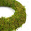 Gardeners Dream (10", 10) Padded Moss Effect Ring | Christmas Wreath Making Bases Frames Funeral Grave 2