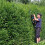 Gardeners Dream Ligustrum Ovalifolium - Green Privet (9cm, 5 plants) 3