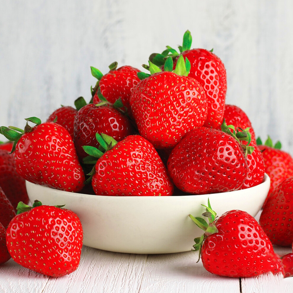 Gardeners Dream (10) Strawberry 'Cambridge Favourite' Hardy Mid Season Bare Root Garden Fruit Plants