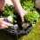 Gardeners Dream Lavender Angustifolia Fragrant Garden Plants For Borders Pots Container (6 Pack) 3