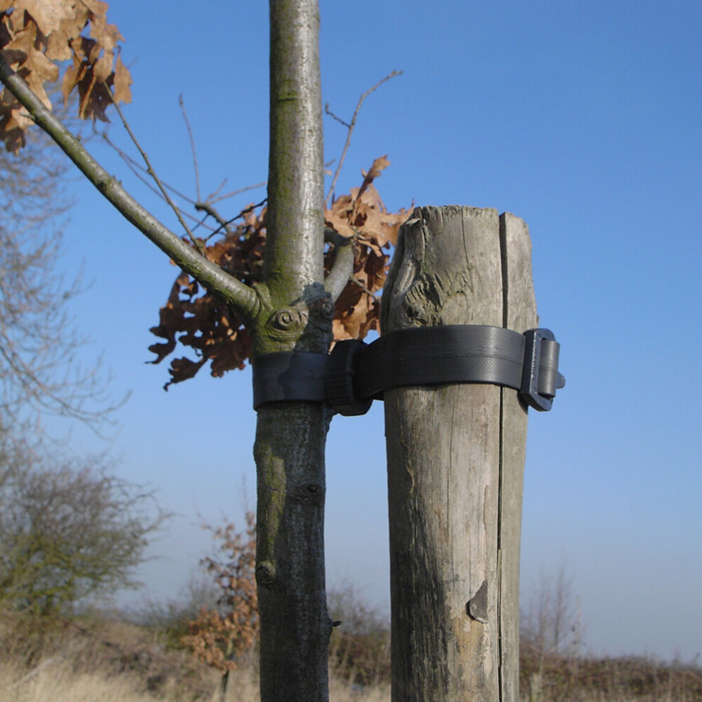 (30cm x 1.25cm, 5) Heavy Duty Buckle/Rose & Shrub Tree Ties Very Strong Plant Support Various Sizes