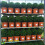 Gardeners Dream Buxus Sempervirens Ball (20cm) 3