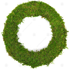 (12", 5) Gardenersdream Padded Moss Effect Rings | Christmas Wreath Making Bases Frames