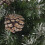 The Christmas Workshop 76820 6ft Snow Tipped Christmas Tree + Pine Cones 3
