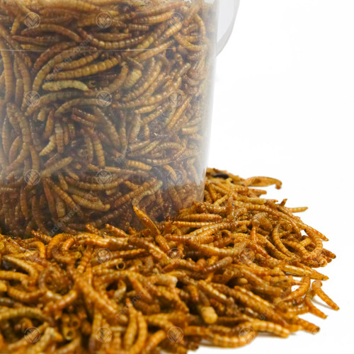 Gardeners Dream GardenersDream Dried Mealworms (1L)
