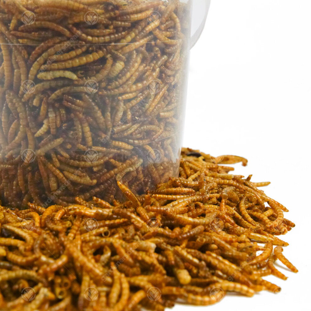 GardenersDream Dried Mealworms (1L)