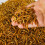 Gardeners Dream GardenersDream Dried Mealworms (1L) 6