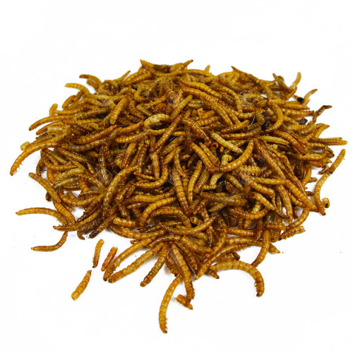 Gardeners Dream GardenersDream Dried Mealworms (1L) 2