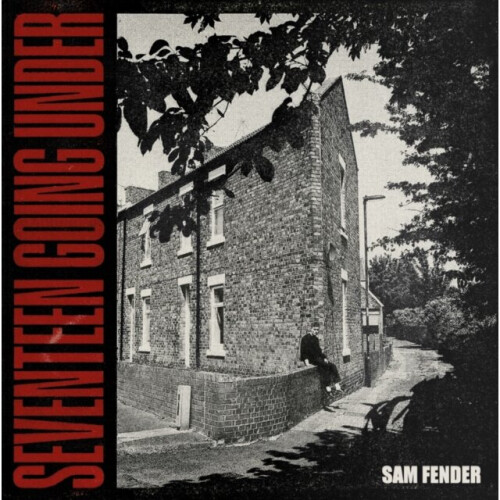 SEVENTEEN GOING UNDER - FENDER,SAM - vinyl