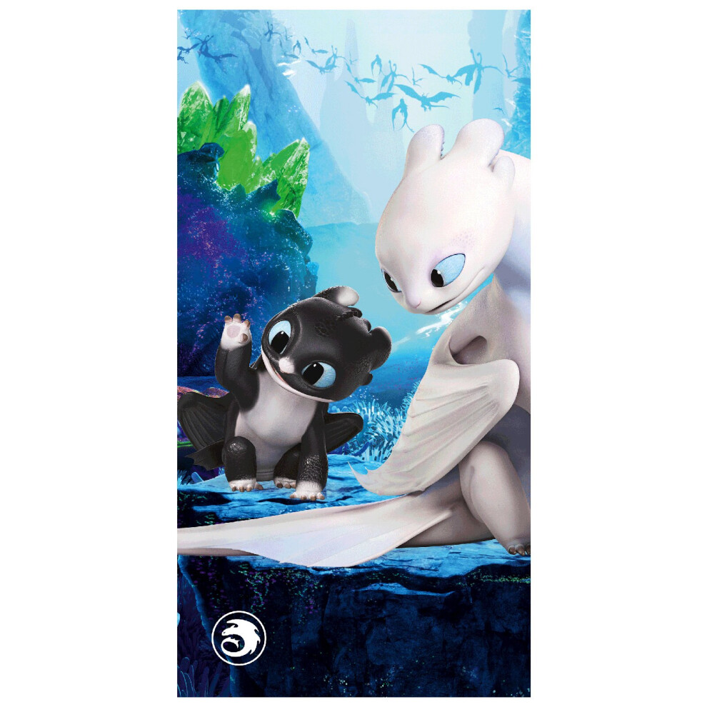 How To Train Your Dragon Beach Towel-image-OPC-P8HC527-NEW