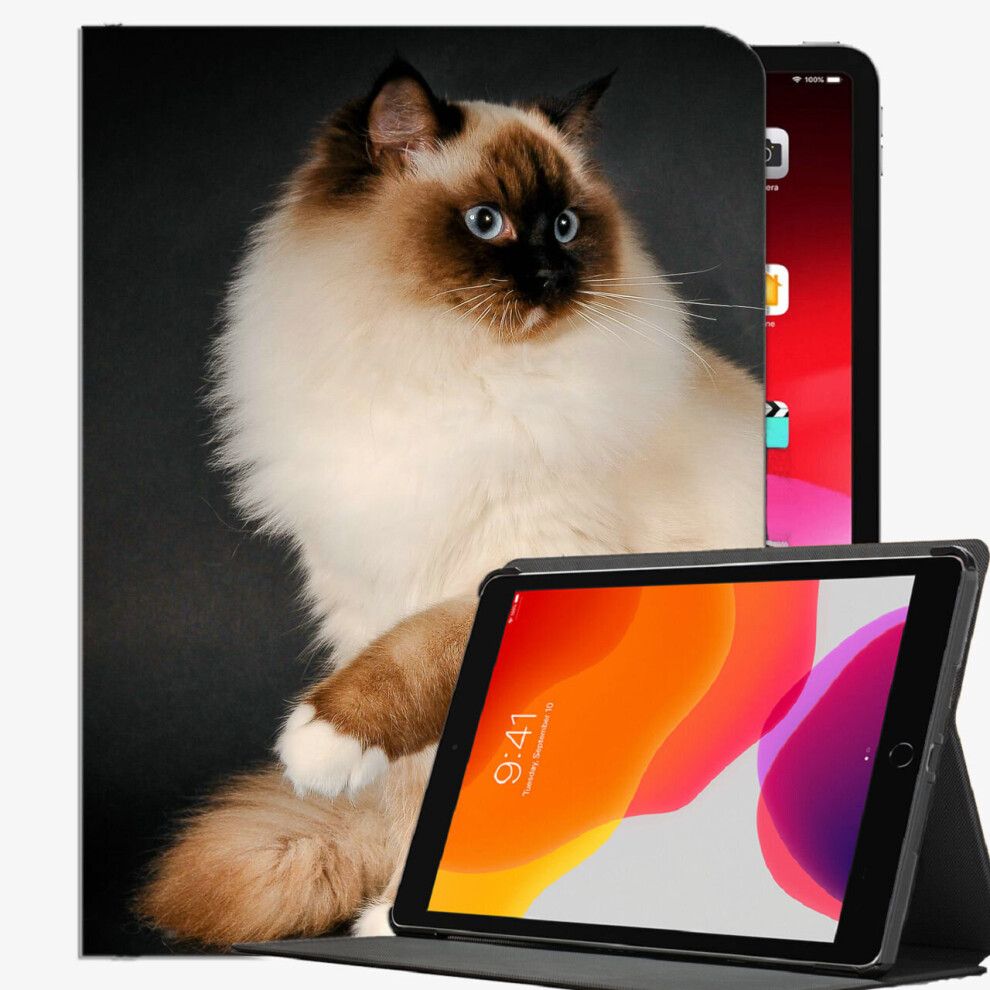 (iPad 2017/2018 (9.7 inches)) Ragdoll Cat Breed Color Case Slim Shell Cover For iPad iPad Pro 12.9 inch