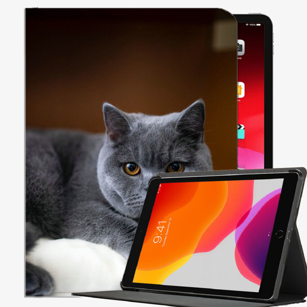 (iPad 2019 2018(10.2 inches)) British Cat Pet Cat Case Slim Shell Cover For iPad iPad Pro 12.9 inch