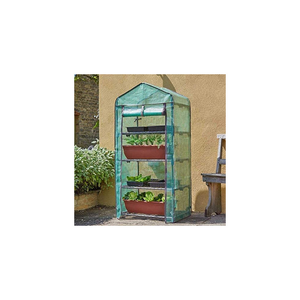 Large Garden Greenhouse Grow House Wide Plant 4 TierCover Outdoor
