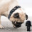 (S-M) Star Wars Darth Vader Pet Collar 2