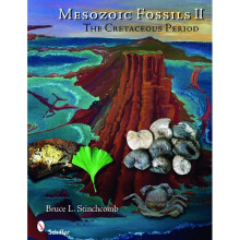 Mesozoic Fossils II