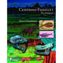 Cenozoic Fossils 1