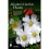 Atlanta's Garden Plants 1