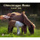 Chincoteague Ponies 1
